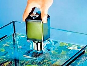 10 лучших фильтров для аквариума в 2020 году