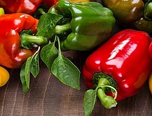 12 лучших сортов перца для теплиц