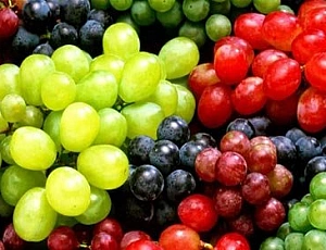 16 лучших сортов винограда для Подмосковья
